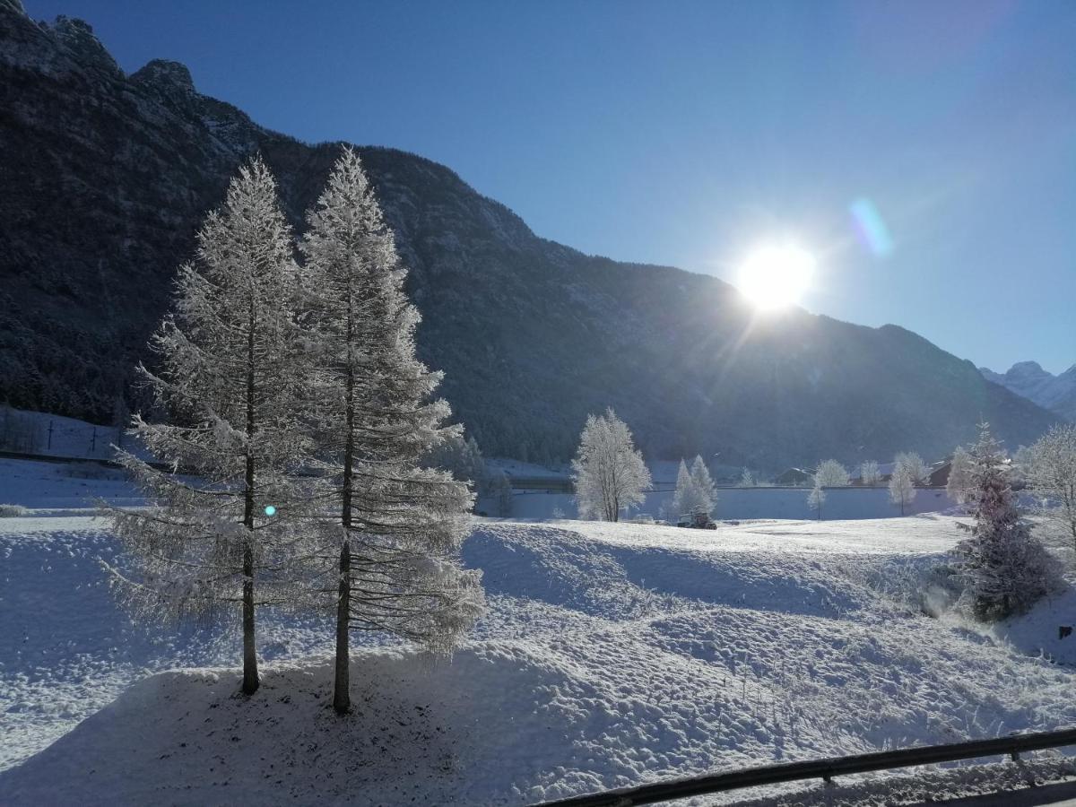 Ai Larici Ξενοδοχείο Perarolo di Cadore Εξωτερικό φωτογραφία